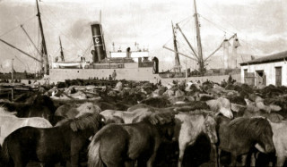 Vi Reykjavkurhfn um 1910. Ljsm: Karl Nilsen.
