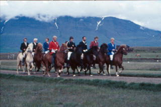 Landsmt  Vindheimamelum 1982 Mynd r safni SH